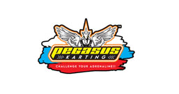 Pegasus Karting